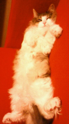 201003092300001.jpg