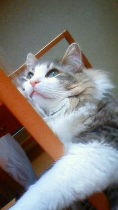 201005311835000.jpg