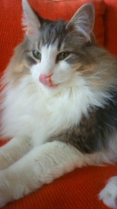 201006021236000.jpg