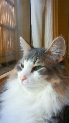 201009050832000.jpg