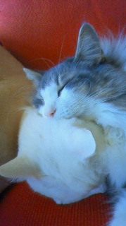 201012271322000.jpg