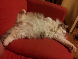 20120228_204909.jpg