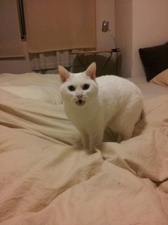 20120308_022343.jpg
