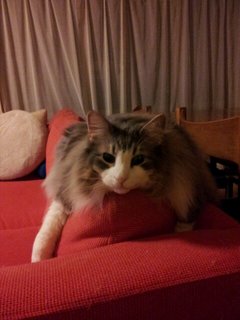 20120309_224117.jpg