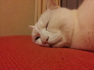 20120321_205635.jpg