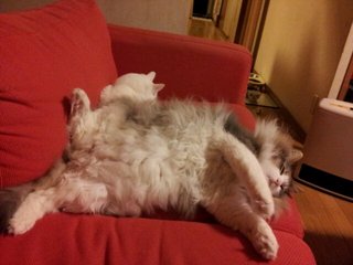 20120426_204940.jpg