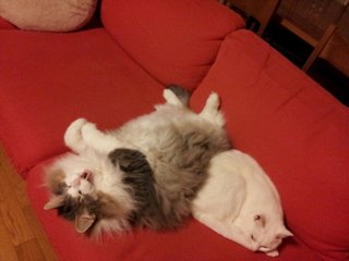 20120426_205612.jpg
