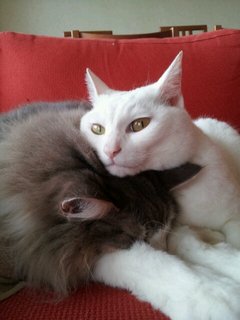 20120525_102023--1452554648.jpg