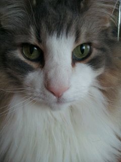 20120528_154838.jpg