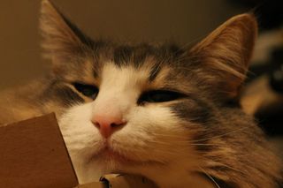 IMG_2214.JPG