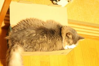 IMG_2222.JPG
