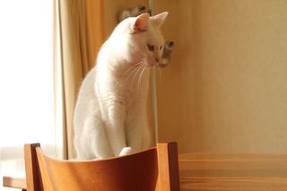 IMG_2226.JPG