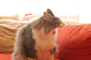 IMG_2238.JPG